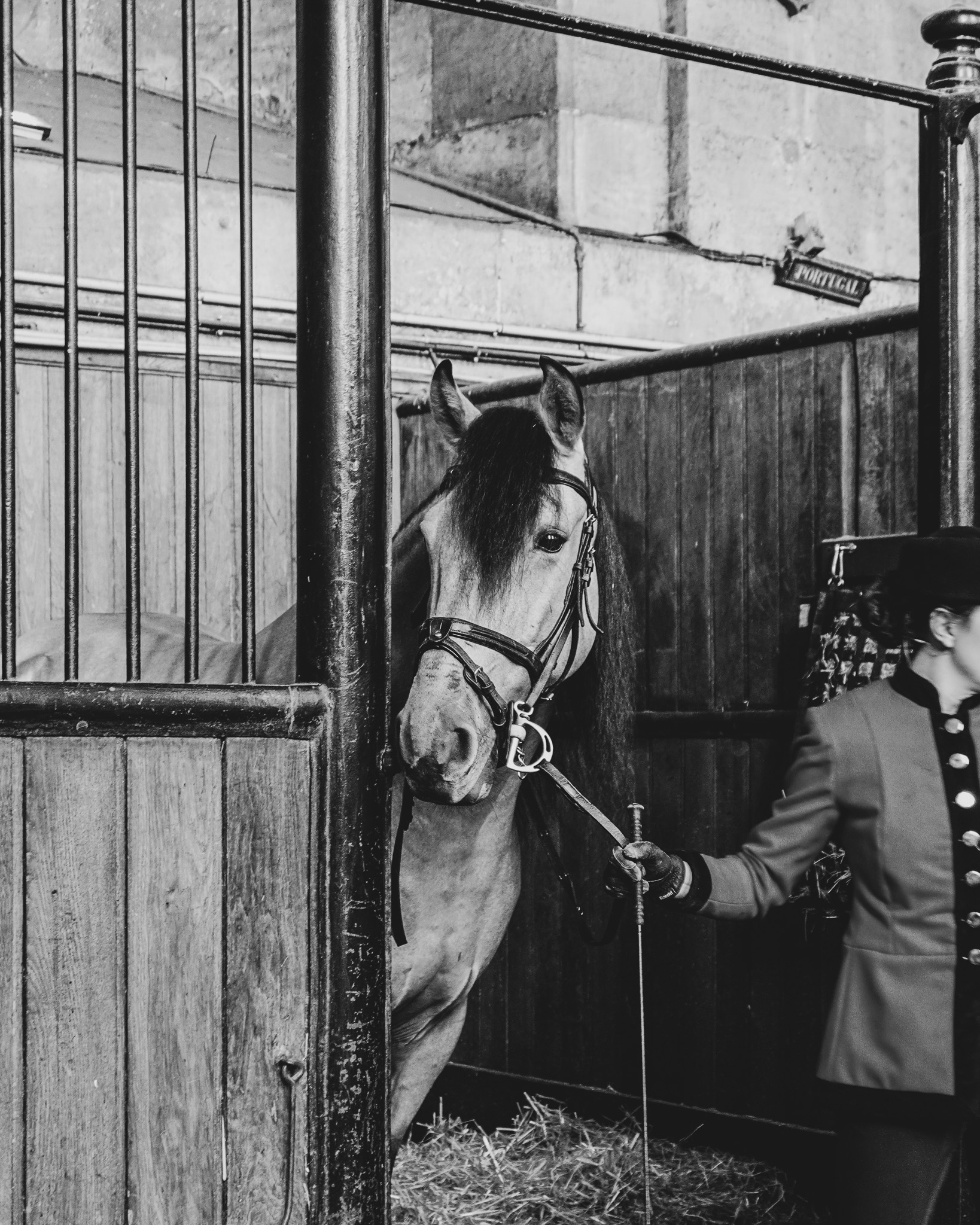 Écuries de Chantilly